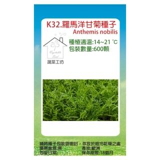 【蔬菜工坊】K32.羅馬洋甘菊種子600顆