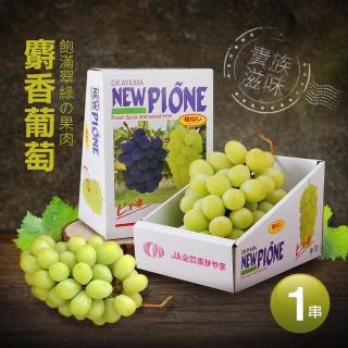 【優鮮配】日本空運溫室頂級麝香葡萄1串(約550g/串)