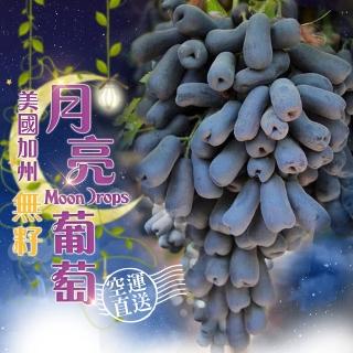 美國加州無籽月亮葡萄獨家組