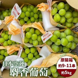 【WANG 蔬果】日本麝香綠葡禮盒(1串入/每串約500-550g±10%)