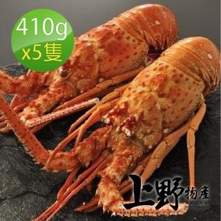 【上野物產】巴西生凍鮮龍蝦 x5隻 410g土10%/隻(龍蝦 蝦子 海鮮 奶油焗蝦 干貝)
