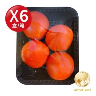 【Global Fresh】滿滿茄紅素牛番茄(500g/盒  6盒/箱)