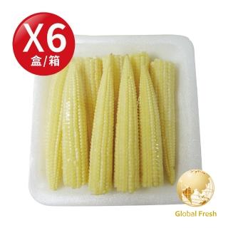 【Global Fresh】非基因改良品種-泰國玉米筍(1盒100g 1箱6盒)