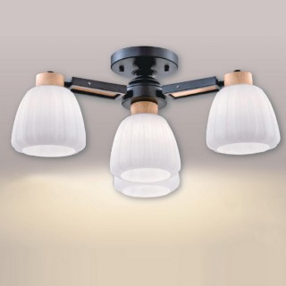 【大巨光】現代風半吸頂燈_中(LW-09-2262)