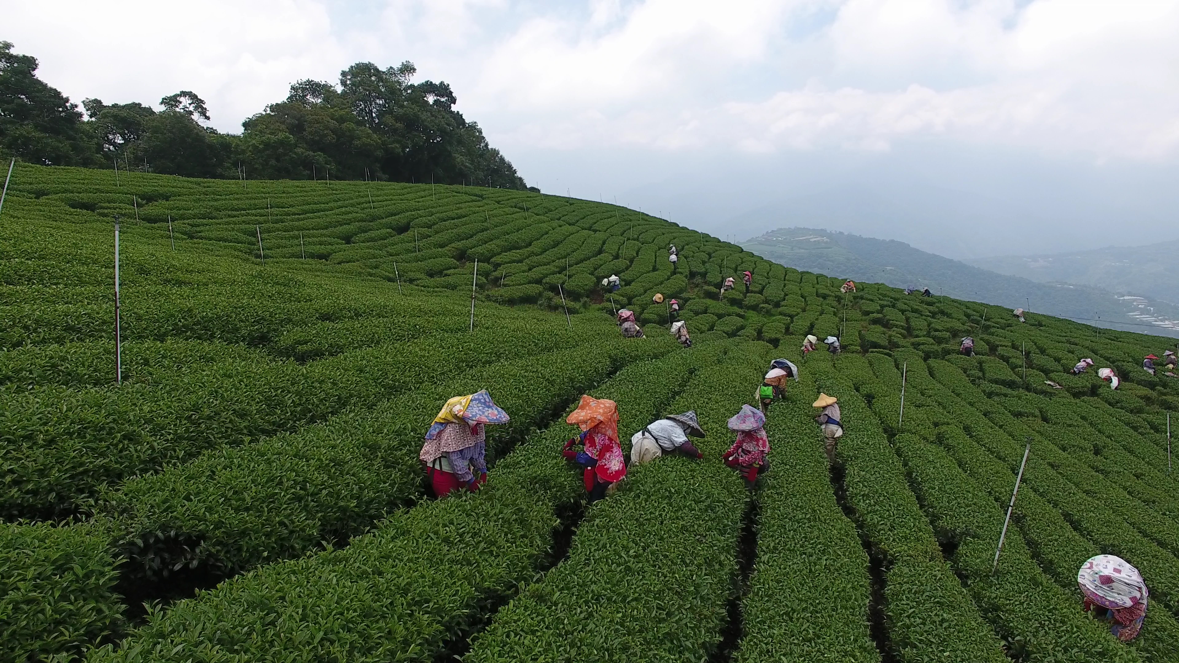 1-1%e4%ba%8c%e5%8d%83%e5%85%ac%e5%b0%ba%e9%ab%98%e6%b5%b7%e6%8b%94%e9 ...