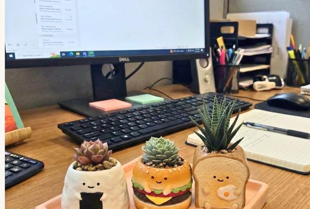辦公桌上的療癒系小宇宙！拼肉肉人氣明星微型盆栽盲盒開箱🌵✨